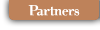 View Partners